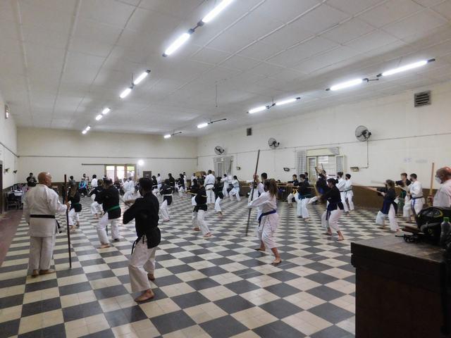 karate (14)
