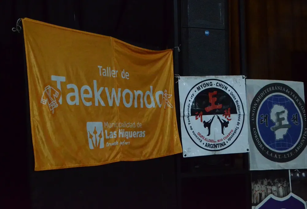 TAEKWONDO (22)