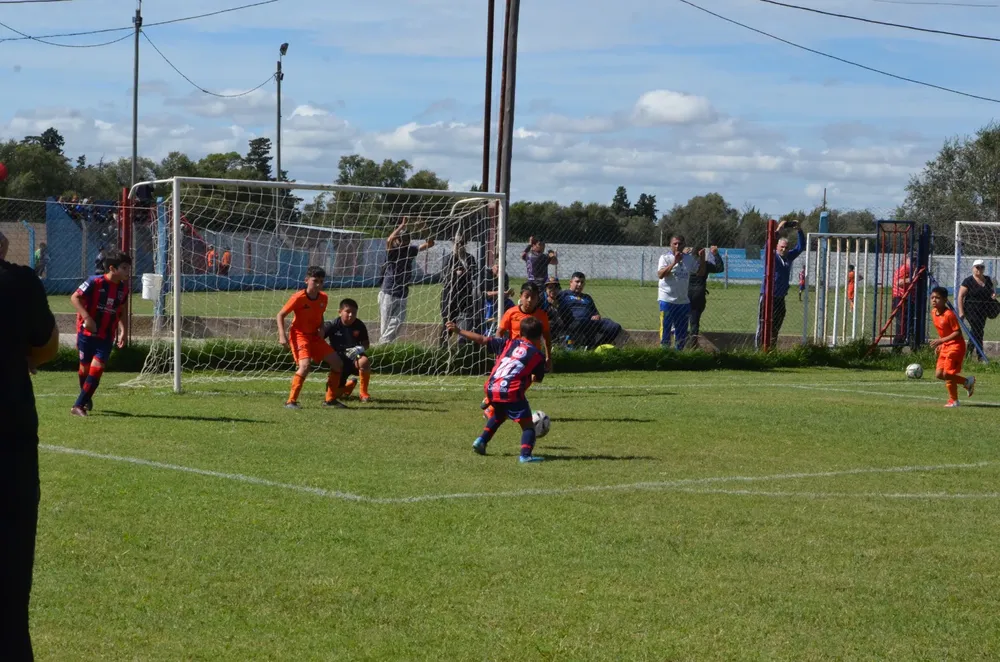 WhatsApp Image 2025-03-31 at 16.38.25 (5)