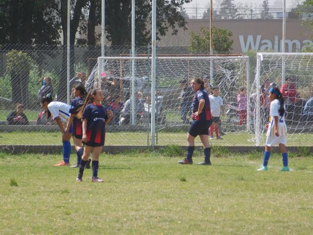 SOCIALERITAS 2 OCT (8)