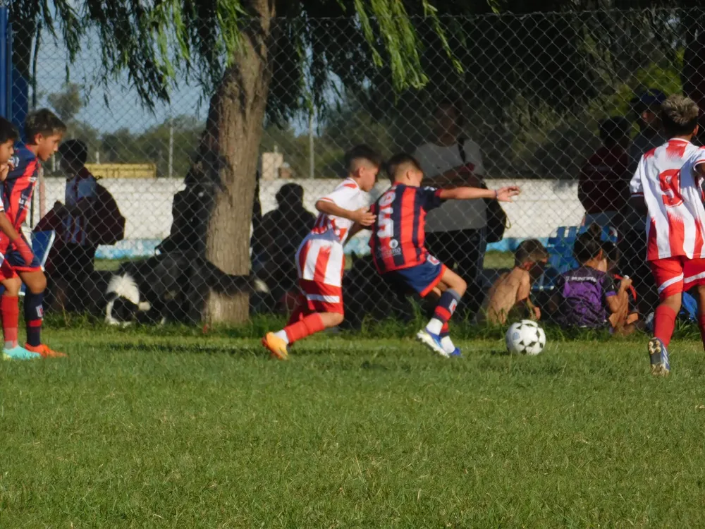 Fecha 3 Centro Social vs Municipal Banda Norte (207)