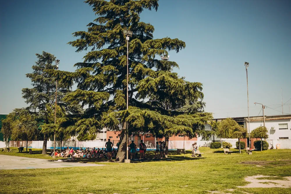 COLONIA MUNI (17)