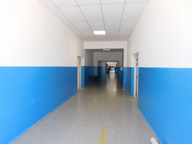 CASTAGNARI (8)