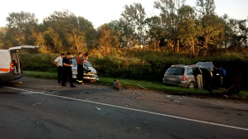 WhatsApp Image 2024-03-20 at 08.23.19 (1)