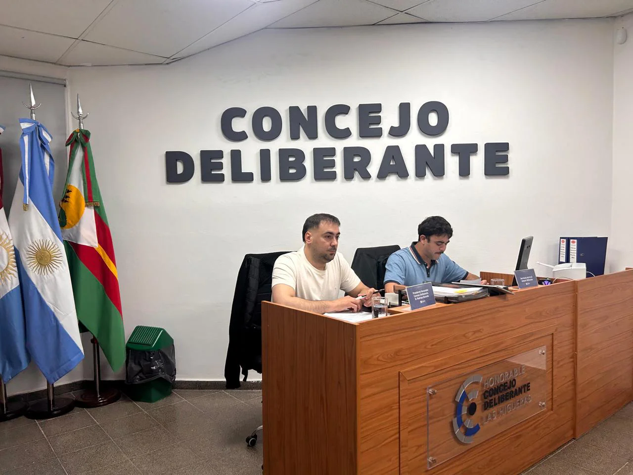 concejo deliberante