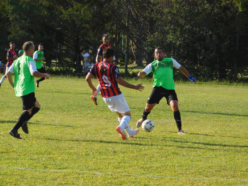 Profesionales  Fecha 4_4