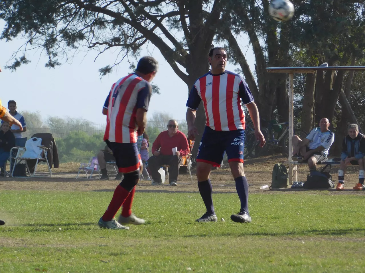 Profesionales Las Higueras (9)
