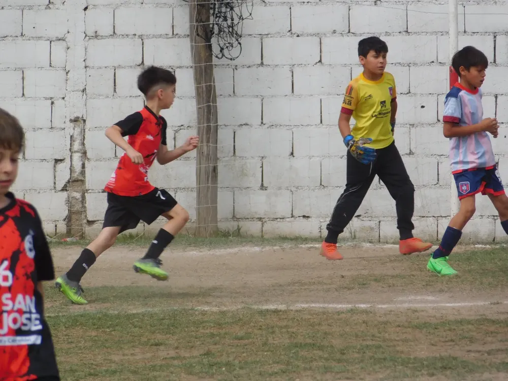 WhatsApp Image 2024-11-17 at 18.08.18 (7)