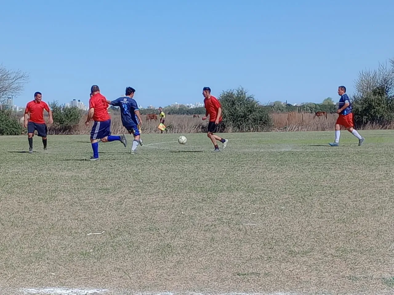 INTERFUERZAS 14SEPT (2)