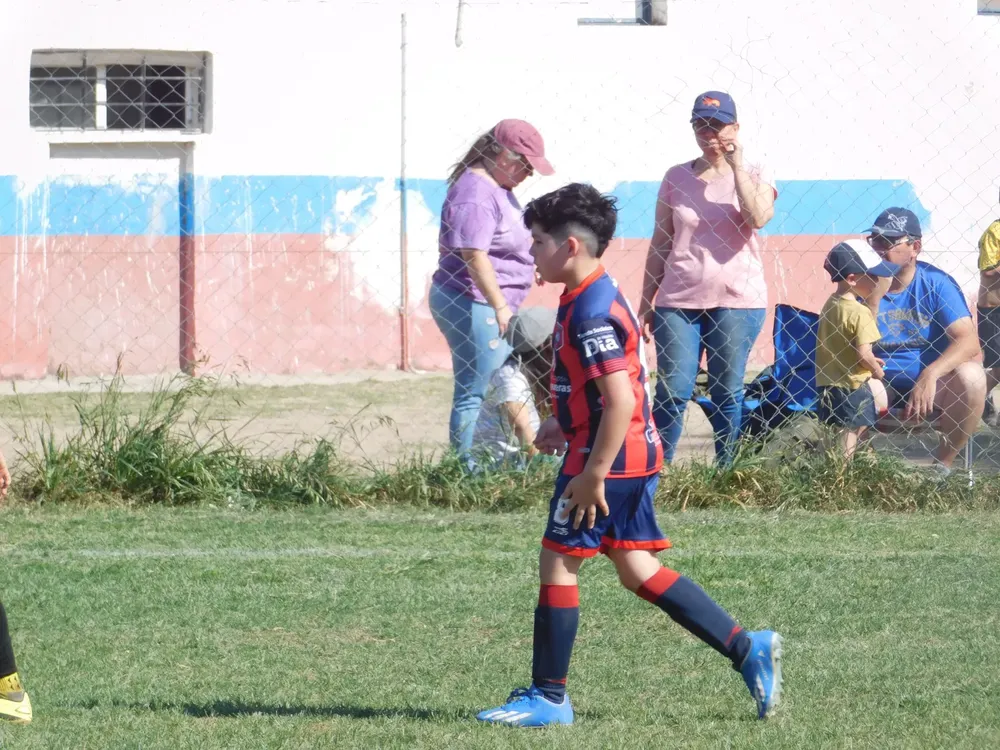 WhatsApp Image 2024-09-29 at 20.26.31 (11)