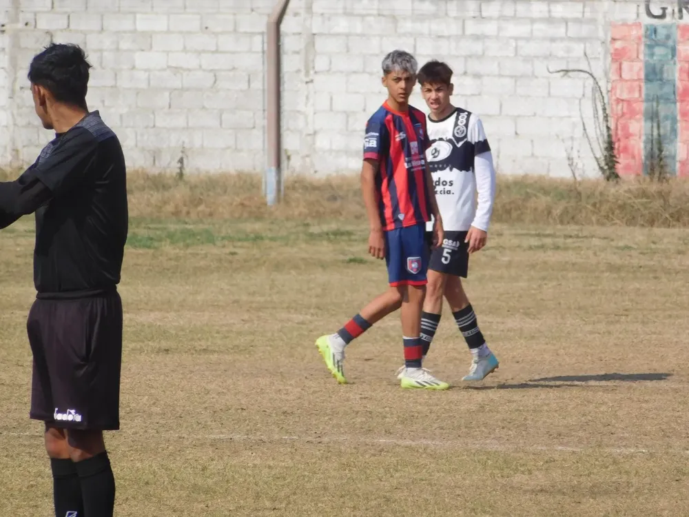 WhatsApp Image 2024-08-19 at 15.04.47 (5)