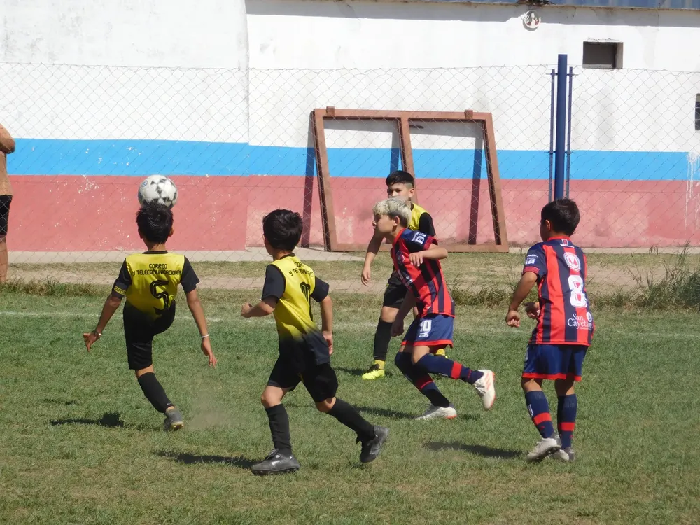 WhatsApp Image 2024-09-29 at 20.23.56 (26)