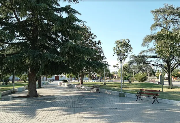 capturahigueras-2024-10-03-11-56-38 (1)