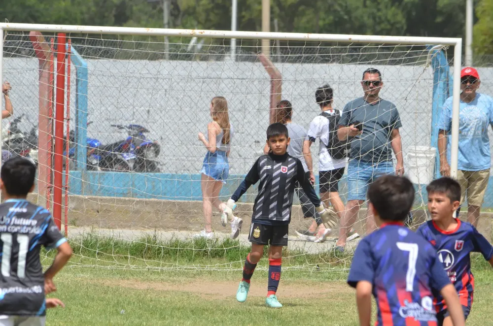 WhatsApp Image 2024-11-17 at 13.10.16