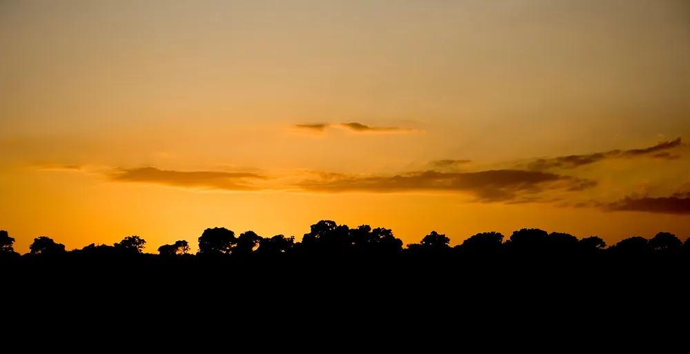 3928542361_2f416b45d3_o