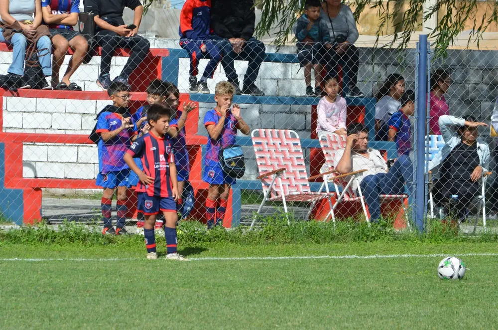 WhatsApp Image 2025-03-31 at 16.38.24 (1)