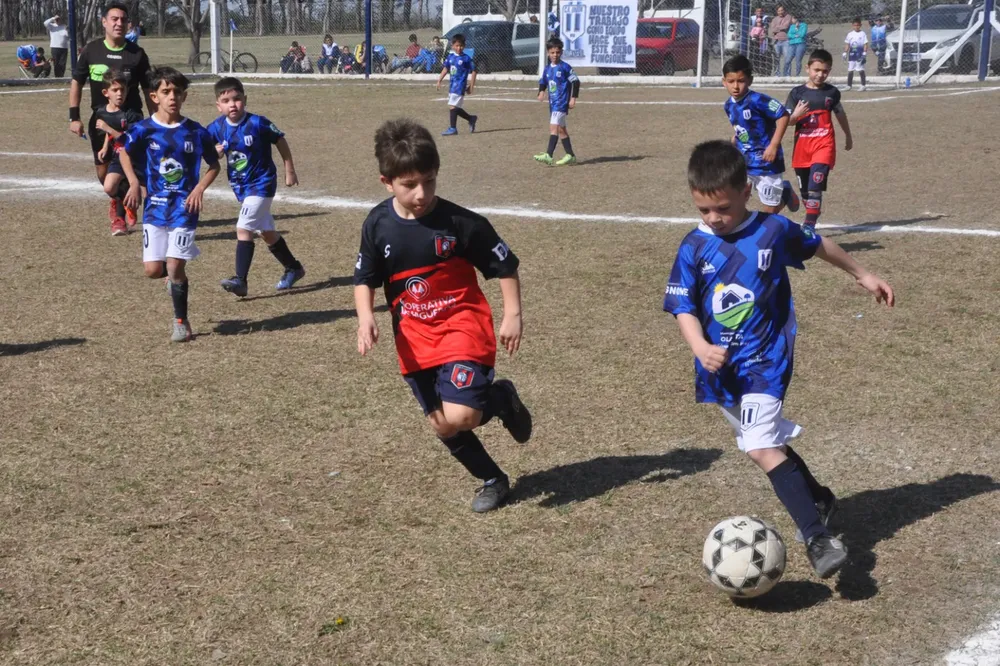 Centro Social Infanto Juvenil Renato Cesarini Olaeta Socialeritas (228)