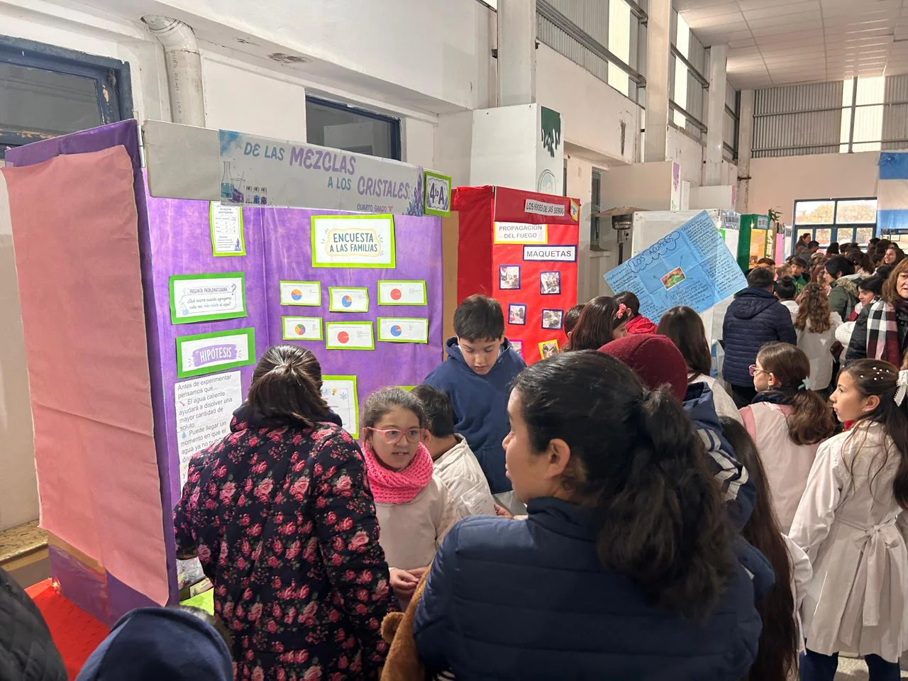 FERIA DE CIENCIAS (13)