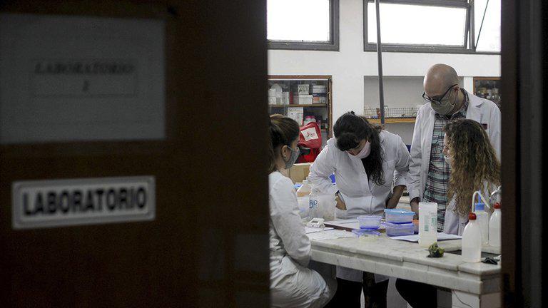 LABORATORIO ANALISIS1