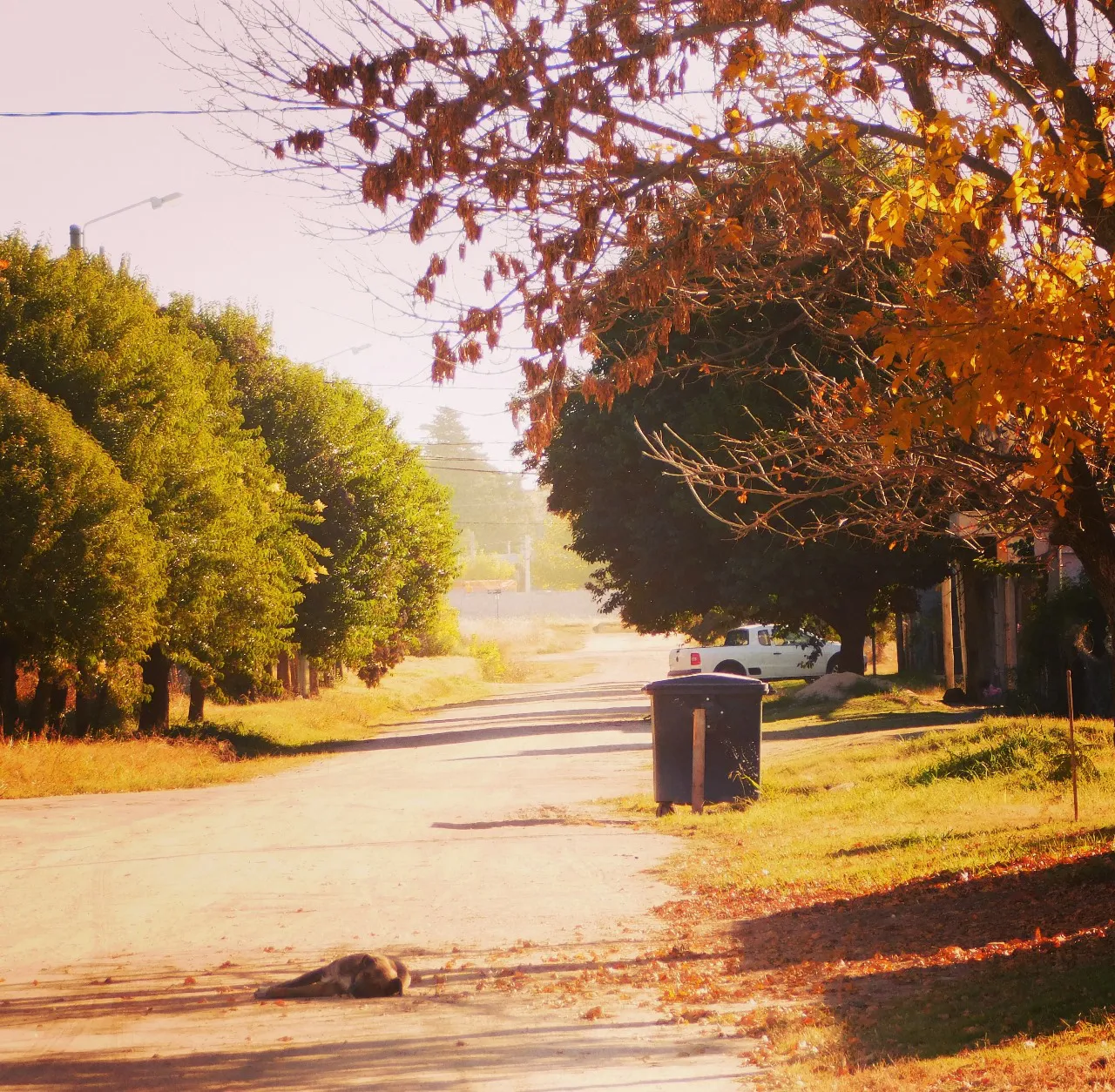 barrio uni ss