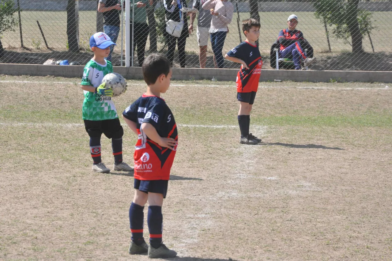 Centro Social Las Higueras Correos y Telecomunicaciones Deportivo Municipal Adela María (12)