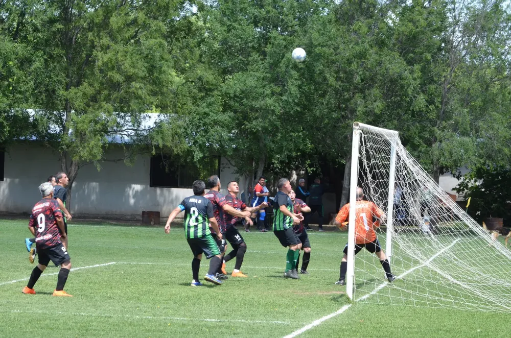 WhatsApp Image 2024-11-07 at 19.35.43