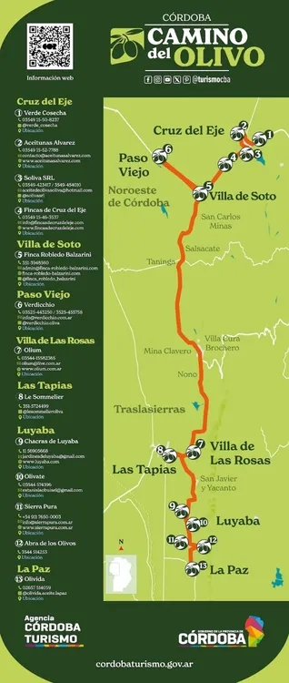 CAMINO DEL OLIVO (1A)
