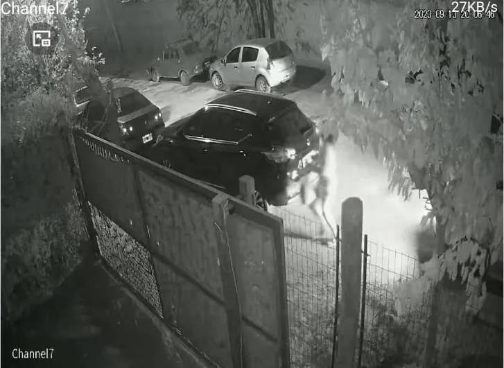 Imagen de WhatsApp 2023-11-02 a las 18.03.45_3e3ad2b6