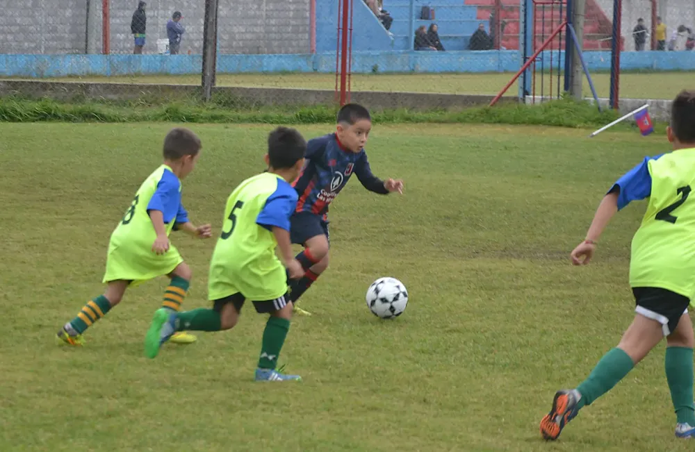 Centro Social B ACEFIC (28)