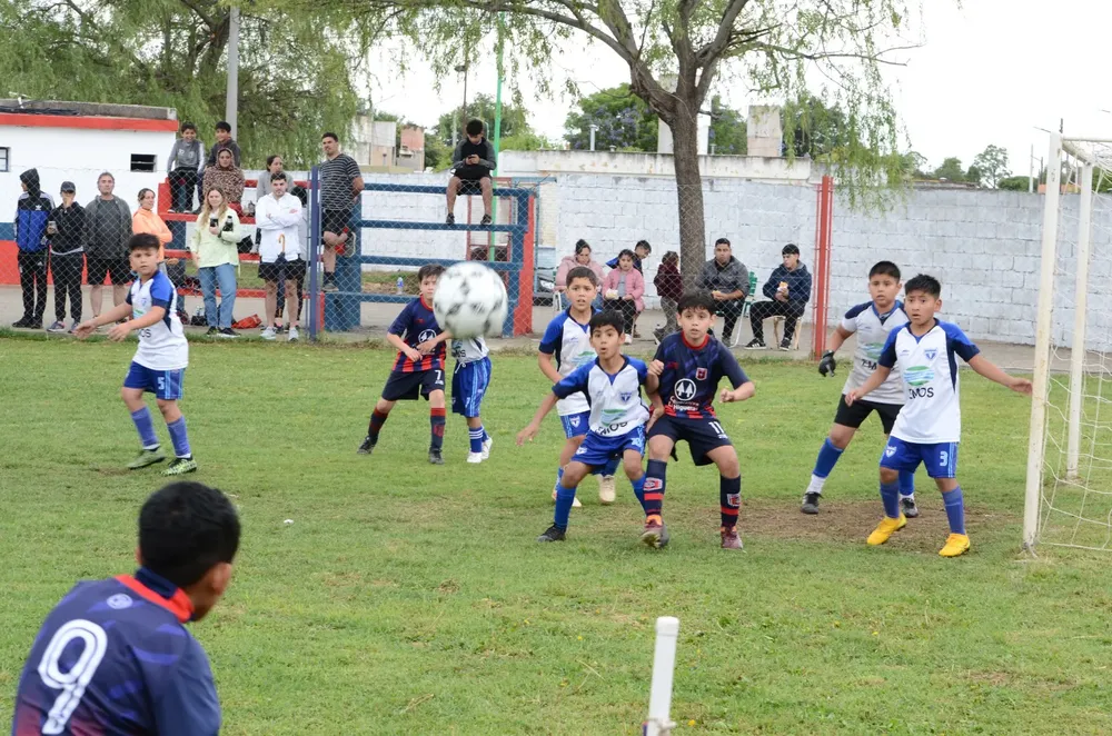 WhatsApp Image 2024-11-04 at 19.37.05