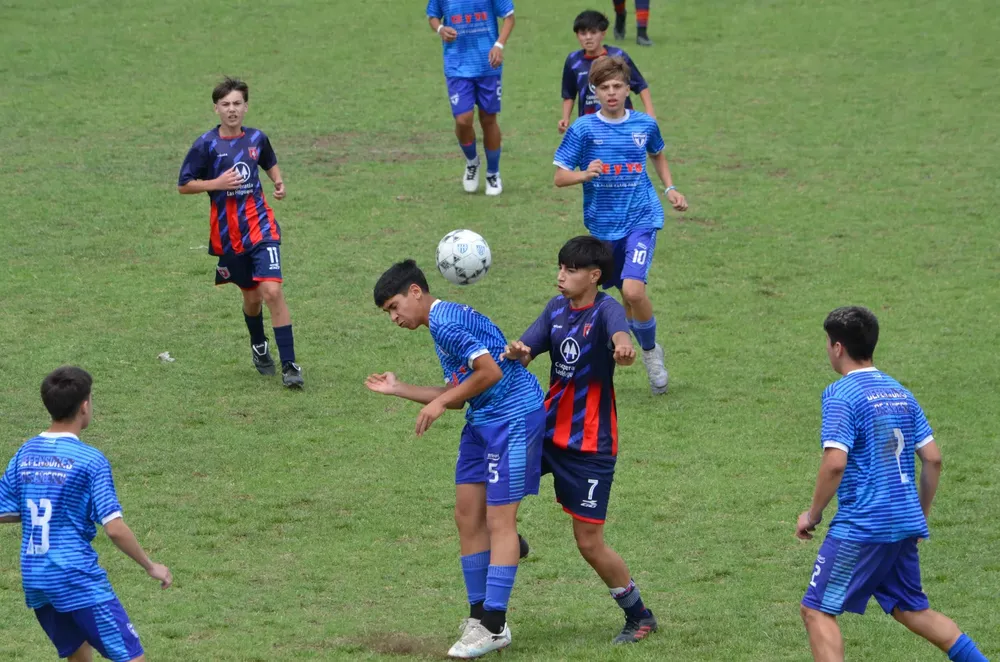 WhatsApp Image 2024-11-04 at 19.37.11 (4)