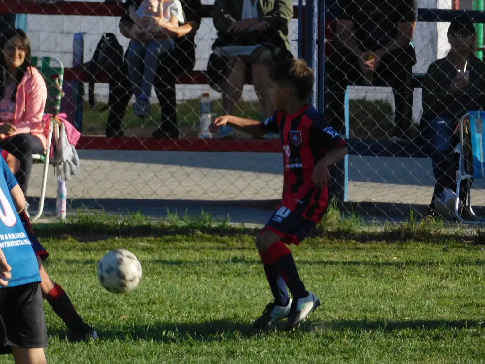 WhatsApp Image 2024-11-04 at 19.12.47 (1)