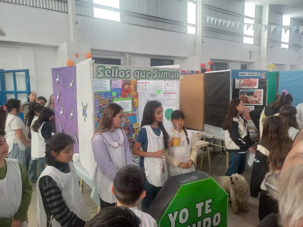 IMG-20250828-WA0174