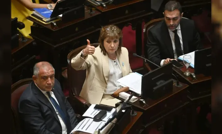 senado bullrich