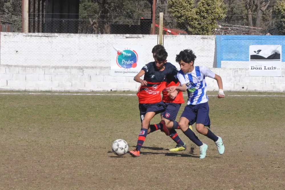 Centro Social Infanto Juvenil Renato Cesarini Olaeta Socialeritas (288)