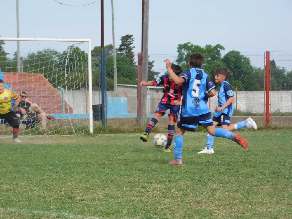 WhatsApp Image 2024-10-12 at 11.08.04 (6)