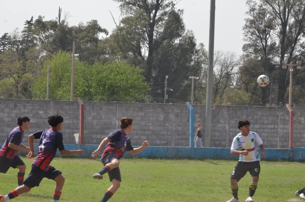 WhatsApp Image 2024-09-23 at 16.31.13 (9)