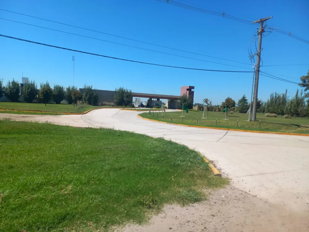 WhatsApp Image 2025-02-23 at 13.11.55