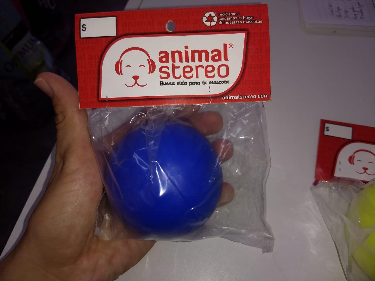 NICOLÁS VETERINARIA (7)