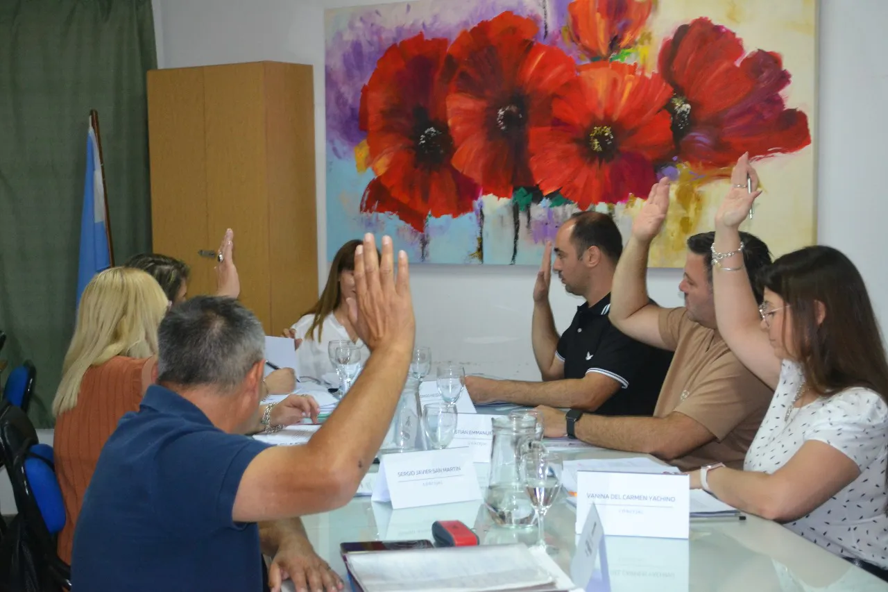 Concejo Deliberante (6)