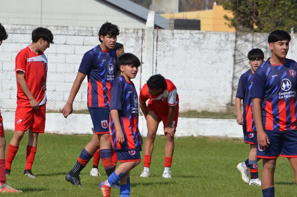 WhatsApp Image 2024-08-18 at 19.33.48