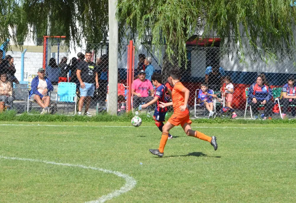 WhatsApp Image 2025-03-31 at 16.38.31