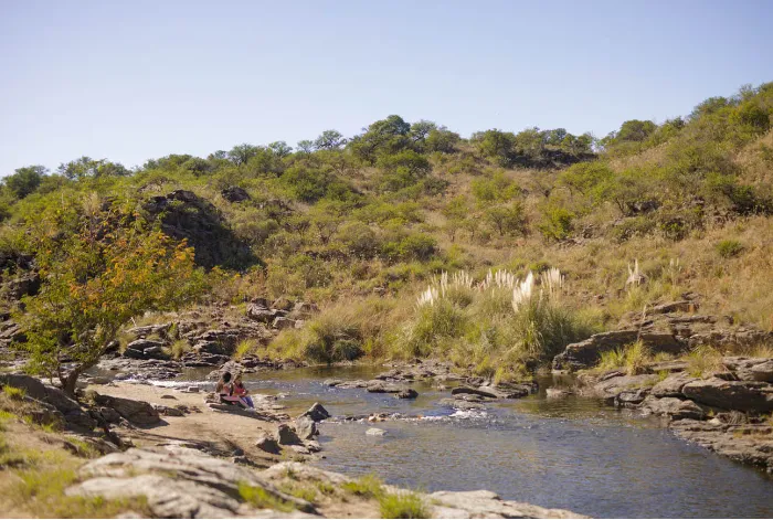 Captura de pantalla 2024-08-24 181252
