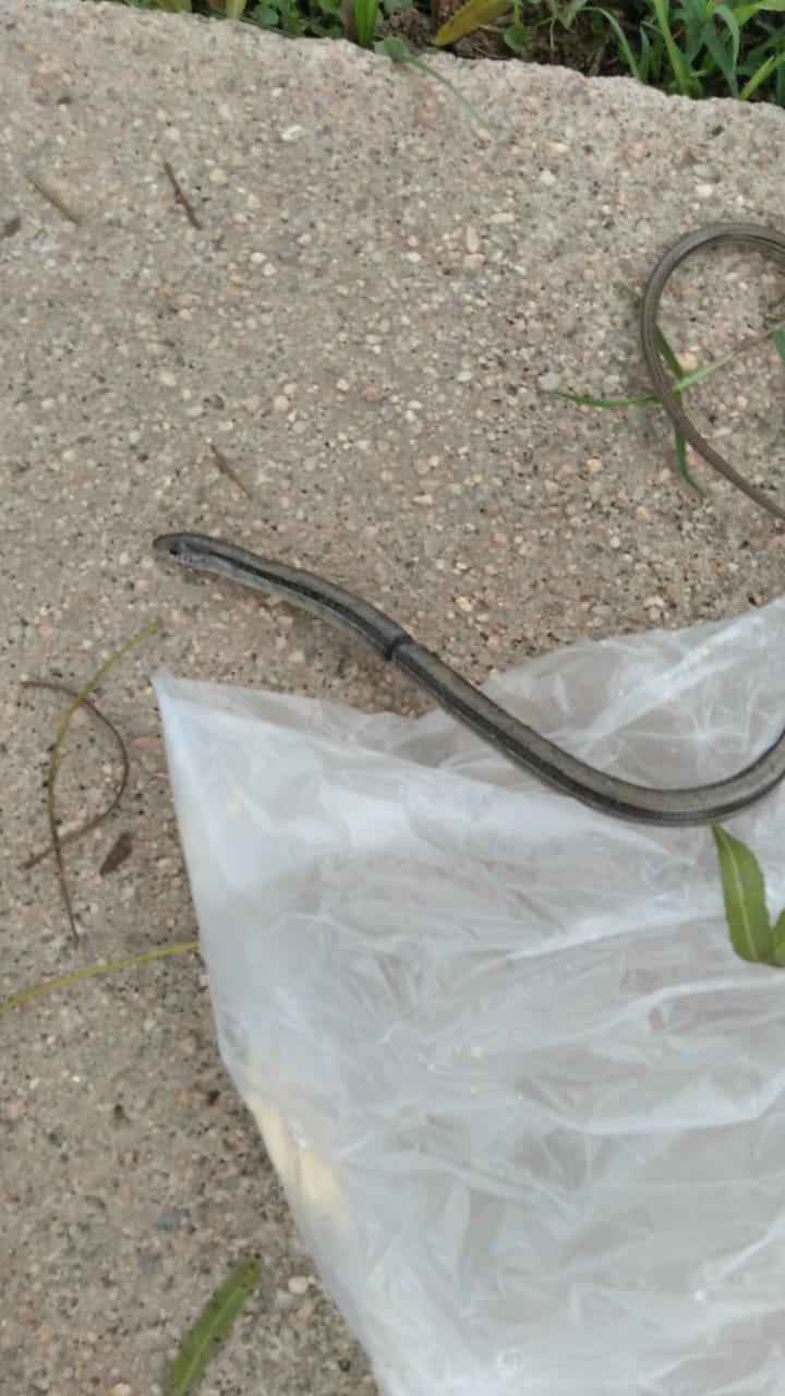 WhatsApp Image 2022-01-26 at 14.51.13