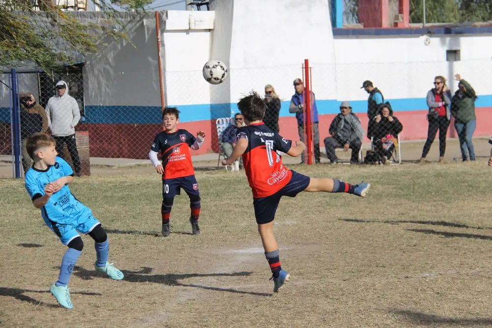 Centro Social San Basilio Santa Paula (265)