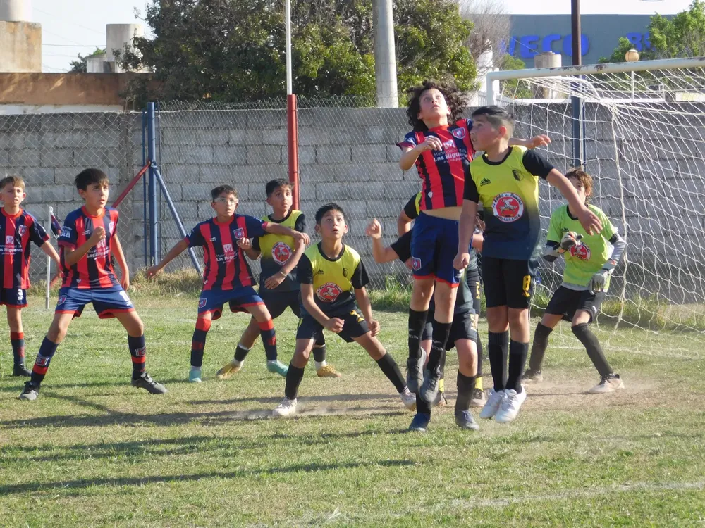 WhatsApp Image 2024-09-29 at 20.29.29 (9)