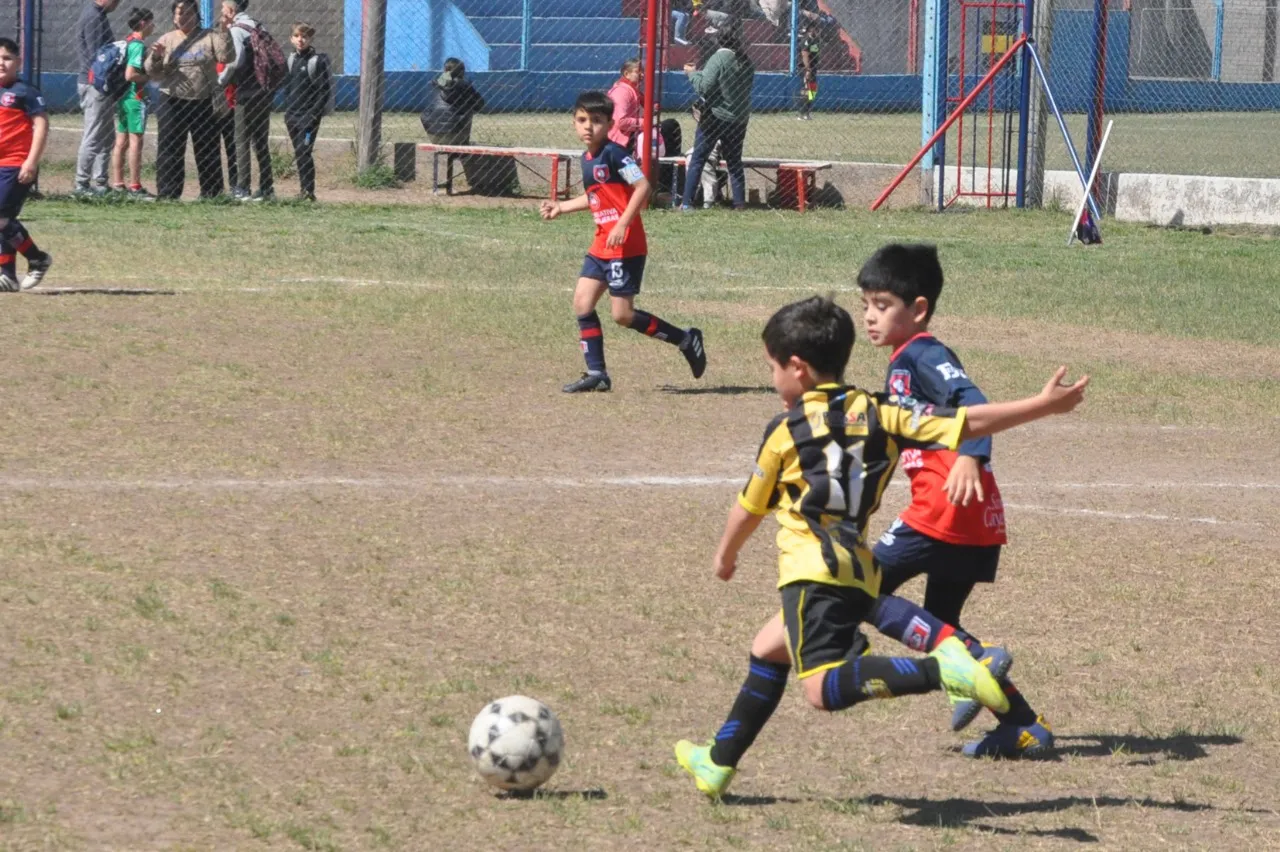 Centro Social Deportivo Municipal Acción Juvenil Socialeritas (128)