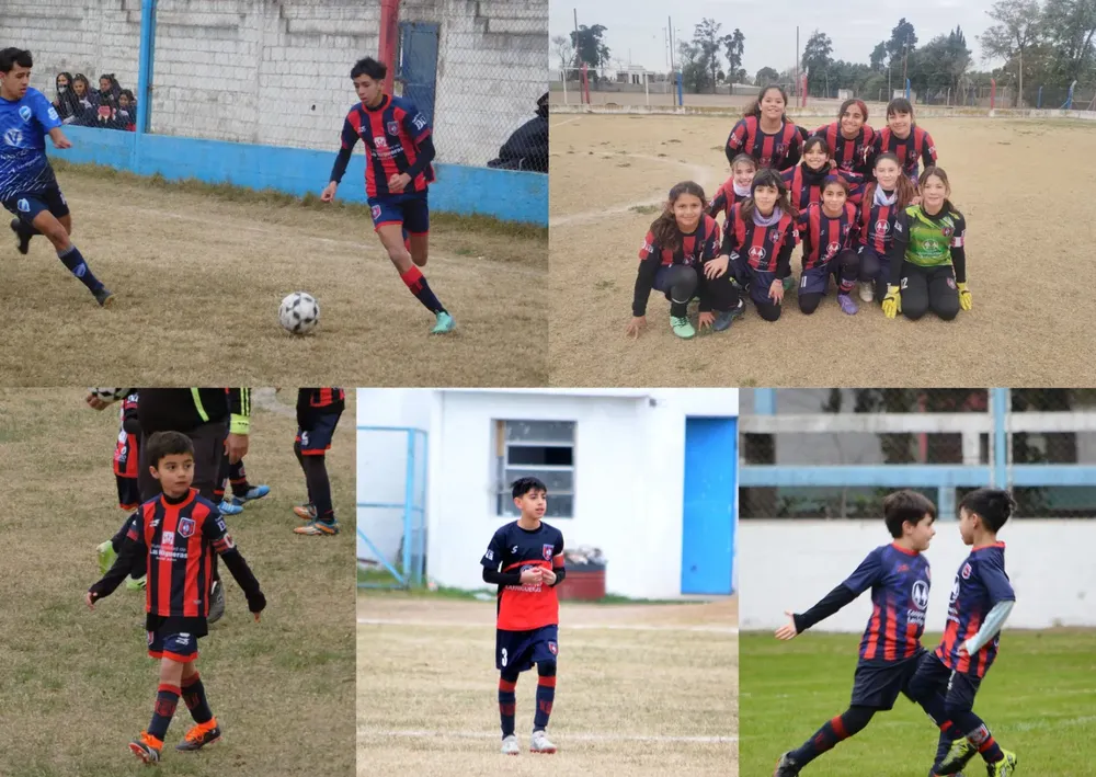 WhatsApp Image 2024-07-08 at 20.59.38