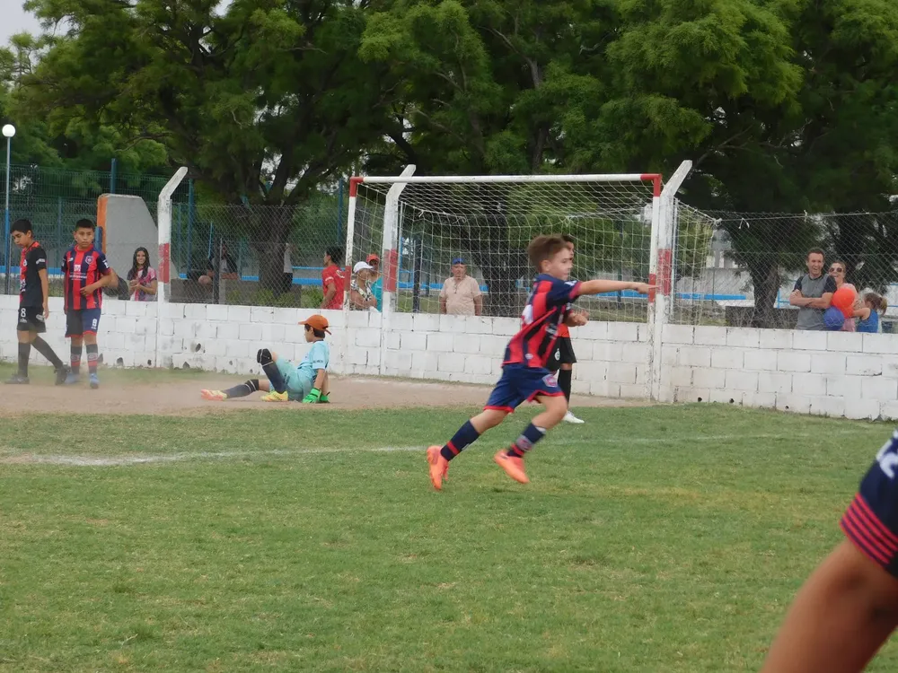 WhatsApp Image 2024-11-17 at 18.15.06 (28)