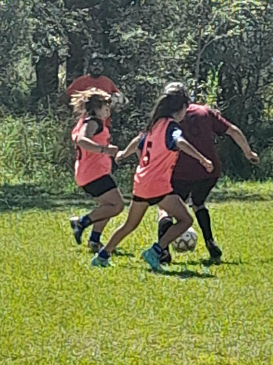 CAMPEONAS (3)